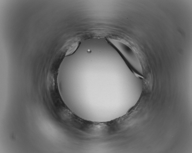 X0000111350333200907171148