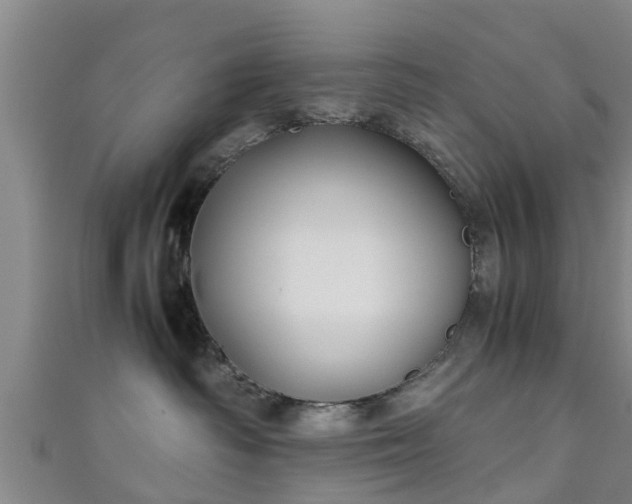 X0000111350334200907171148