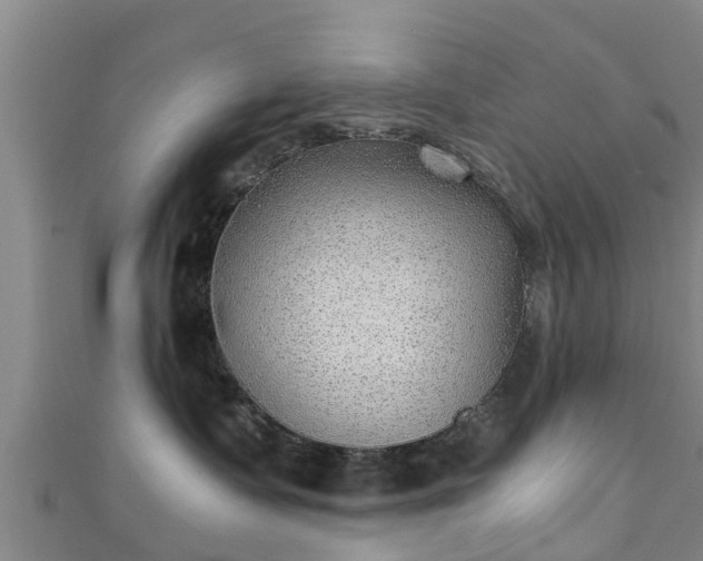 X0000111350335200907171148