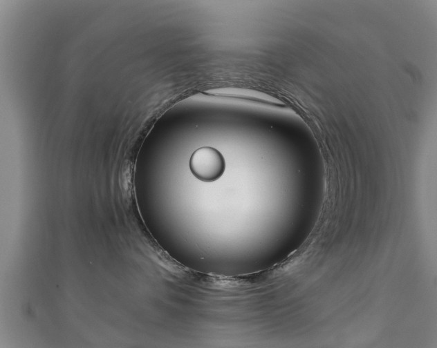 X0000111350336200907171148