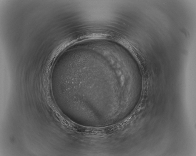 X0000111350337200907171147