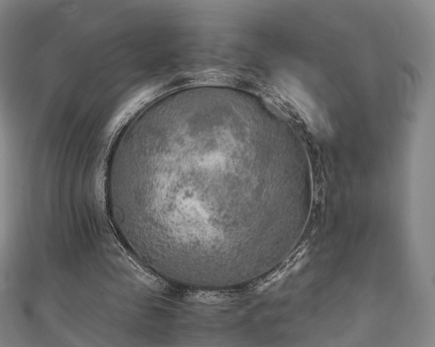 X0000111350341200907171147