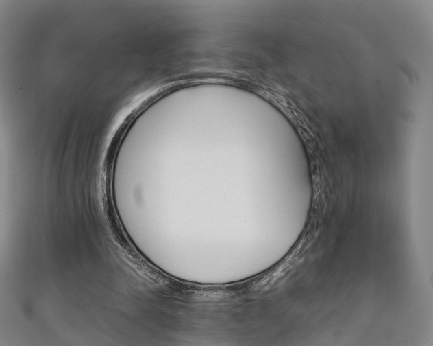 X0000111350342200907171147