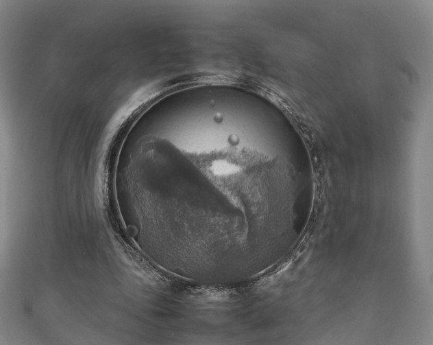 X0000111350343200907171147