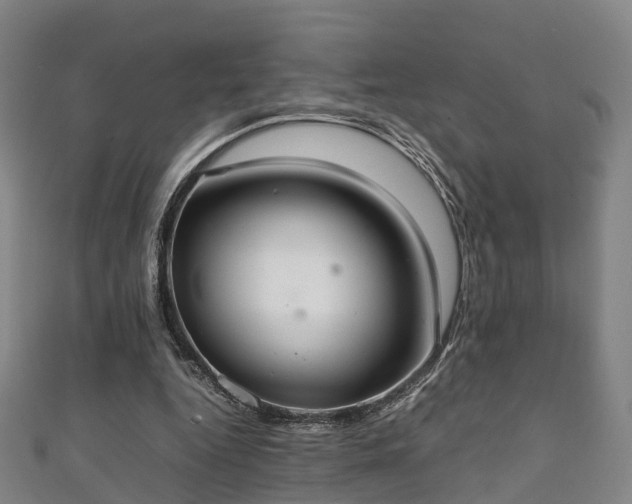 X0000111350344200907171147