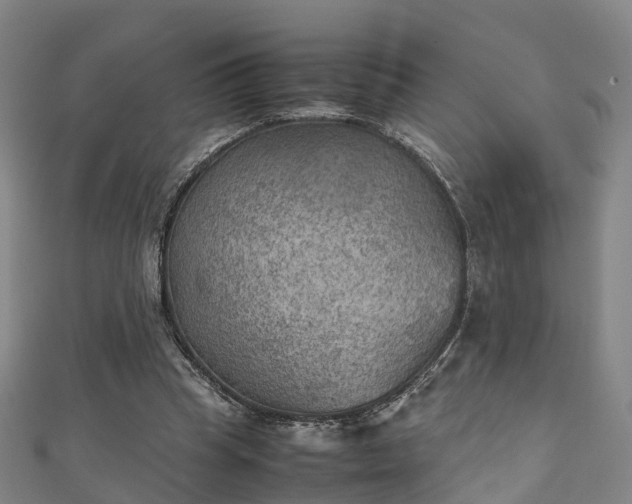 X0000111350345200907171147