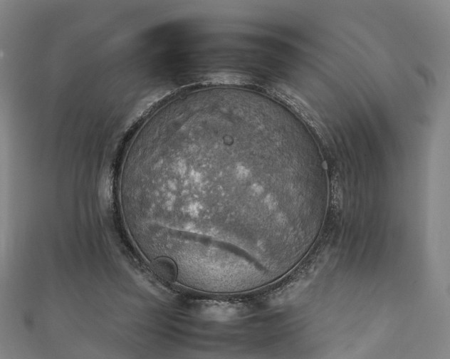 X0000111350347200907171147