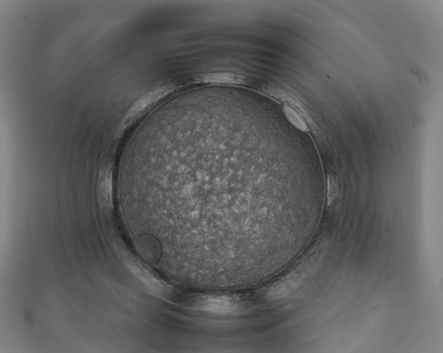 X0000111350349200907171147