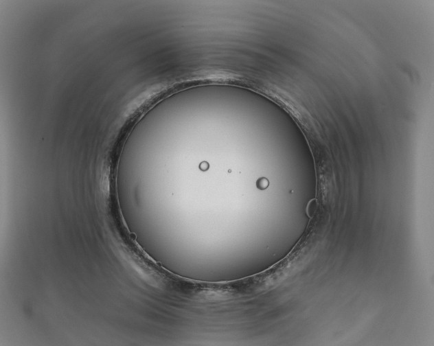 X0000111350350200907171147