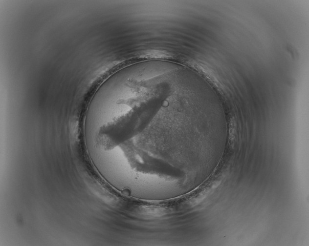 X0000111350351200907171147