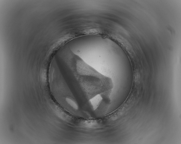 X0000111350353200907171147