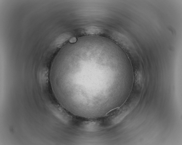 X0000111350356200907171147