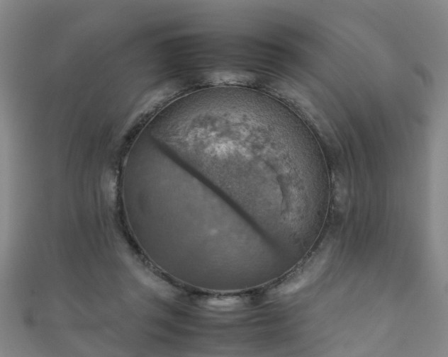 X0000111350357200907171147