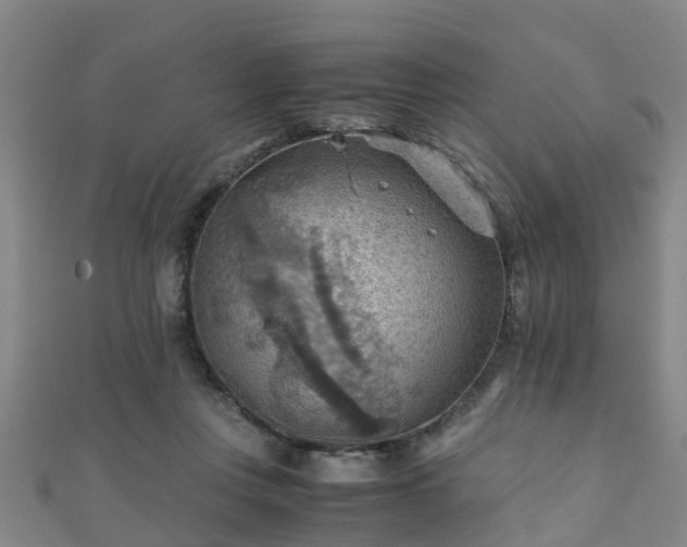 X0000111350359200907171147