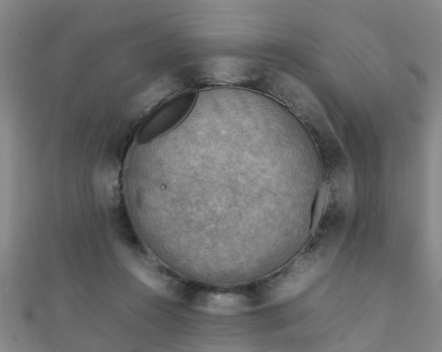 X0000111350360200907171147