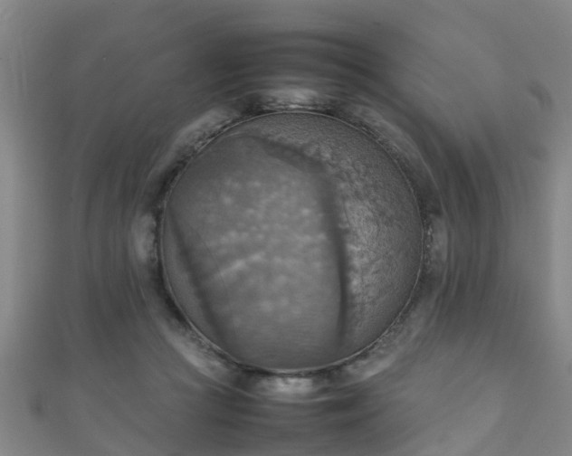 X0000111350361200907171147