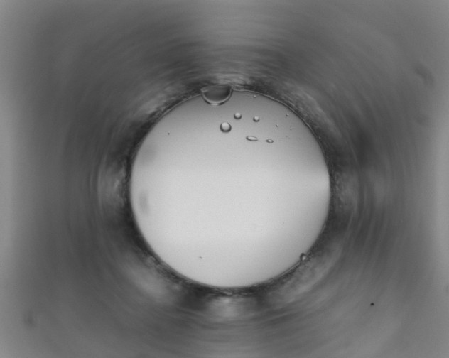 X0000111350364200907171147