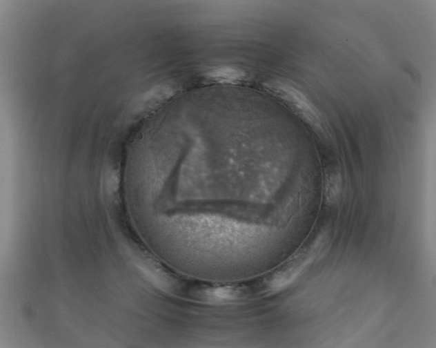 X0000111350365200907171148