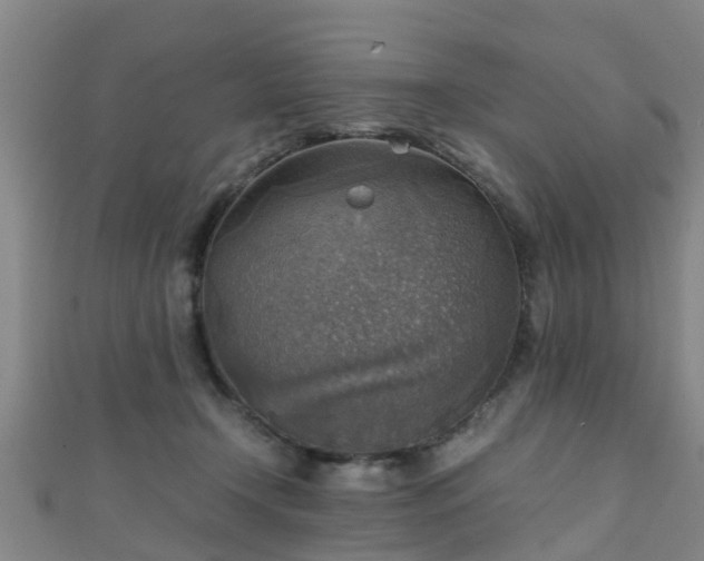 X0000111350366200907171148