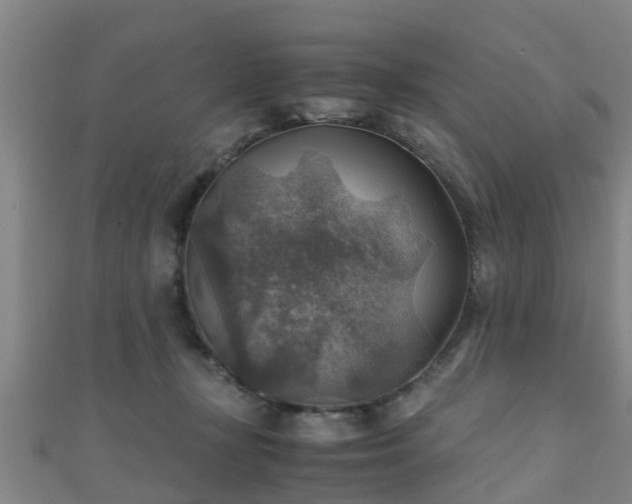 X0000111350367200907171148