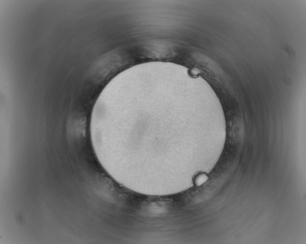 X0000111350368200907171148