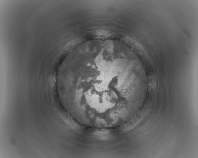 X0000111350369200907171148