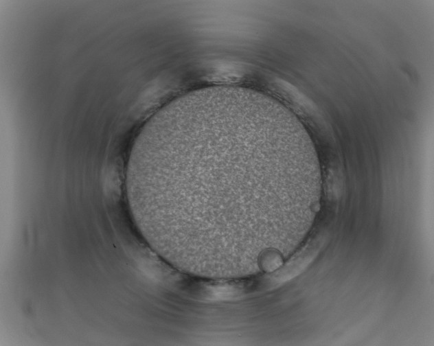 X0000111350370200907171148