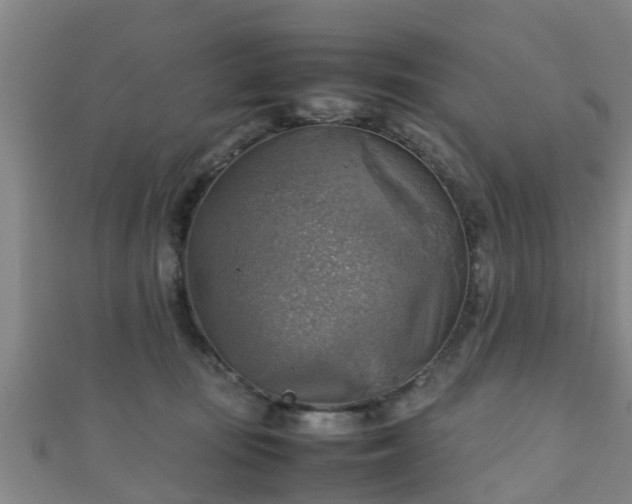 X0000111350371200907171148