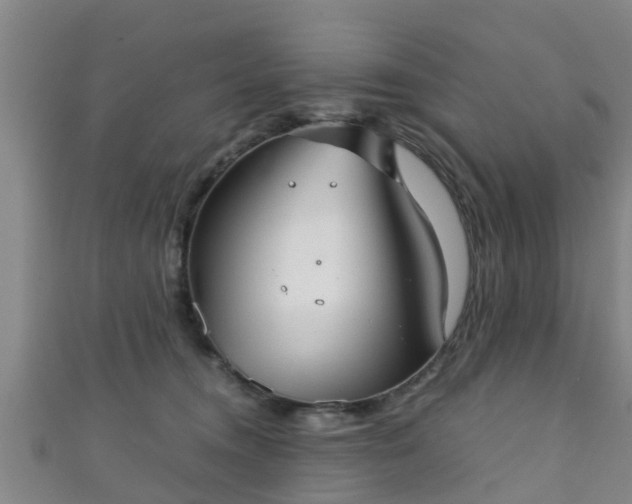 X0000111350372200907171148