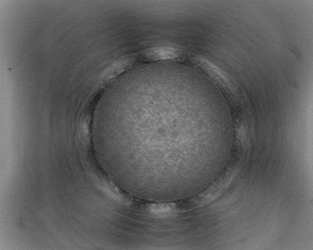 X0000111350373200907171148