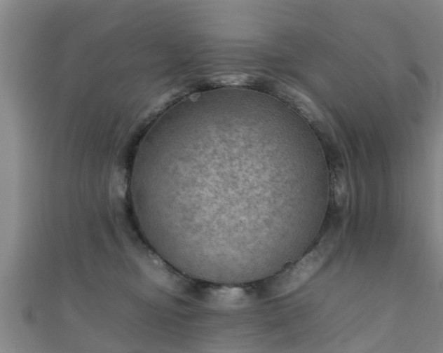 X0000111350374200907171148