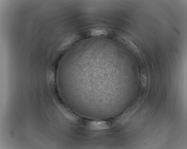 X0000111350375200907171148