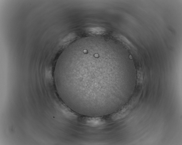 X0000111350377200907171148