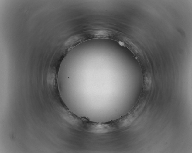 X0000111350379200907171148