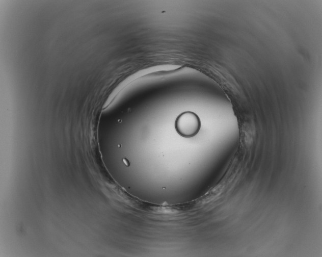 X0000111350380200907171148