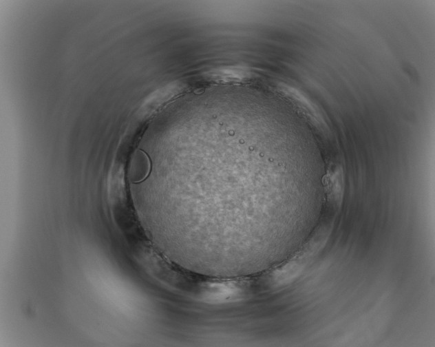 X0000111350381200907171148