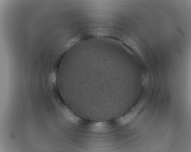 X0000111350382200907171148