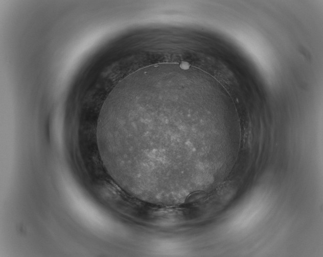 X0000111350383200907171148