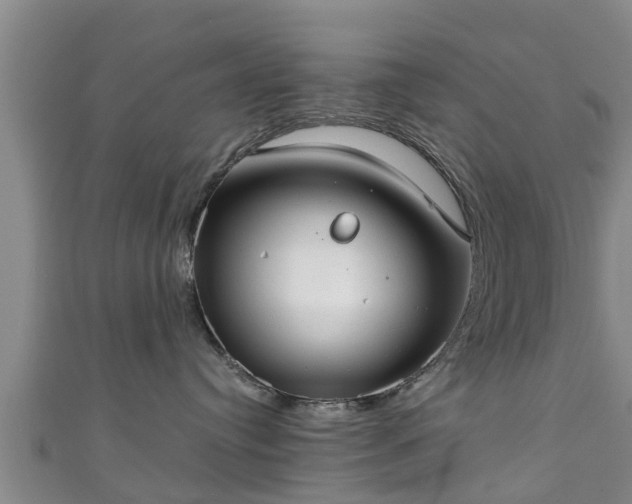 X0000111350384200907171148