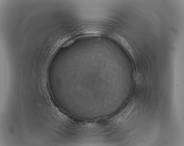 X0000111350385200907171147