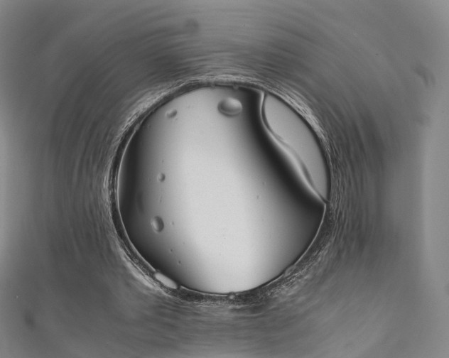 X0000111350389200907171147