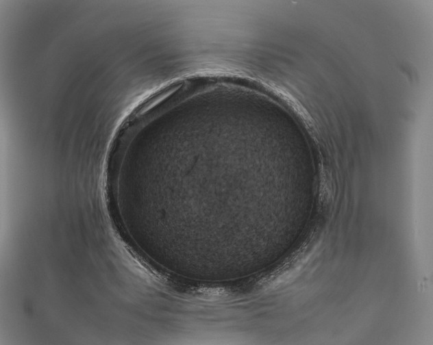 X0000111350391200907171147