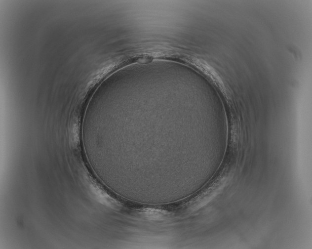 X0000111350393200907171147