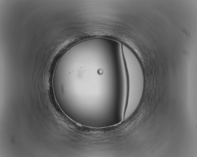 X0000111350395200907171147