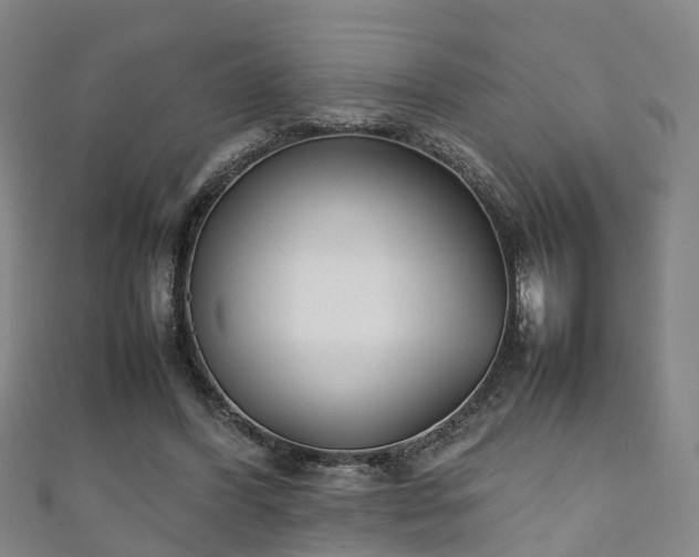 X0000111350396200907171147