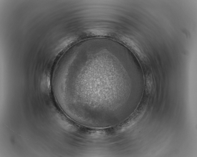 X0000111350398200907171147