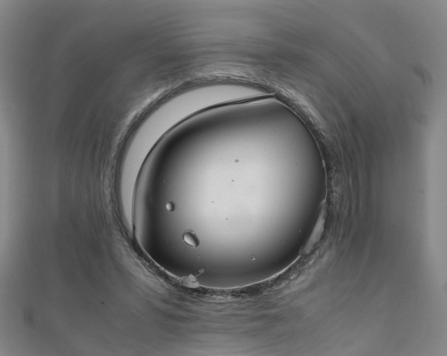 X0000111350399200907171147