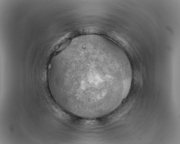 X0000111350401200907171147