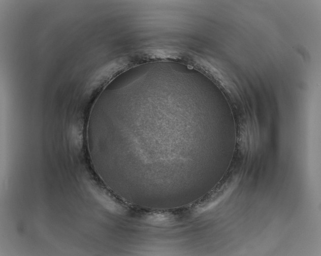 X0000111350402200907171147