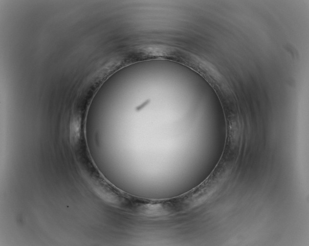 X0000111350406200907171147